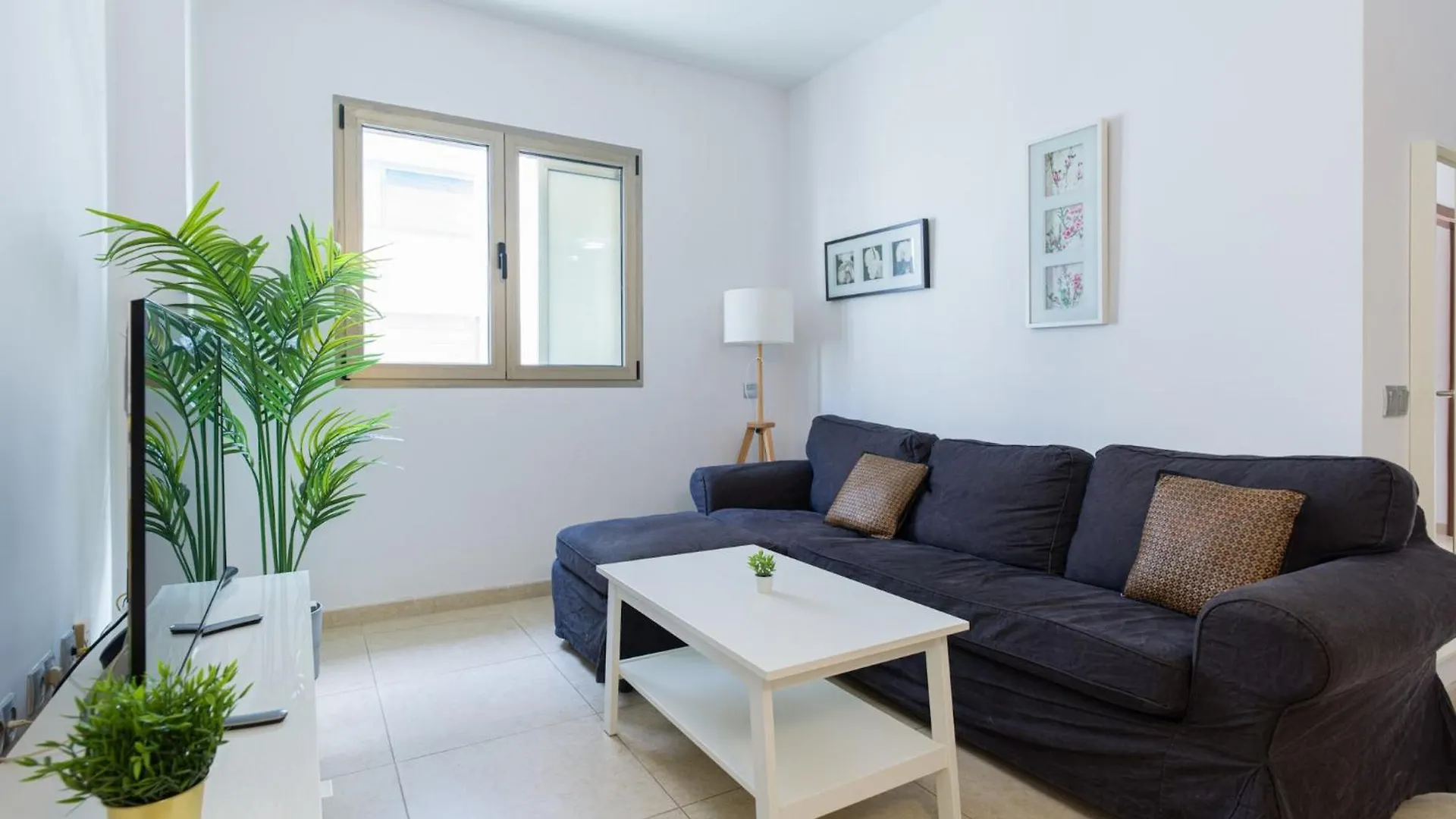 Group Stay In Las Palmas Center